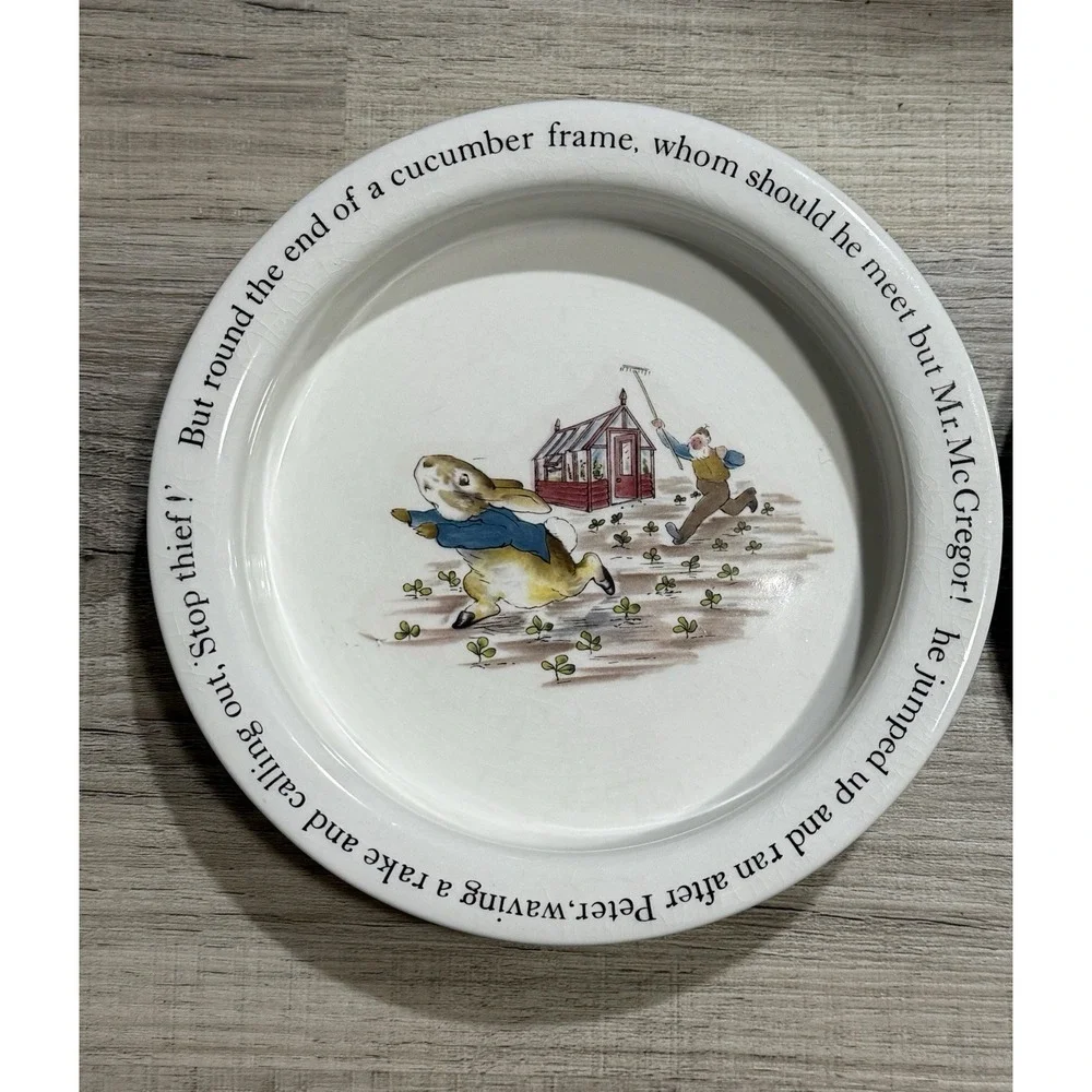 Set of 2 Wedgwood Peter Rabbit Plate 8